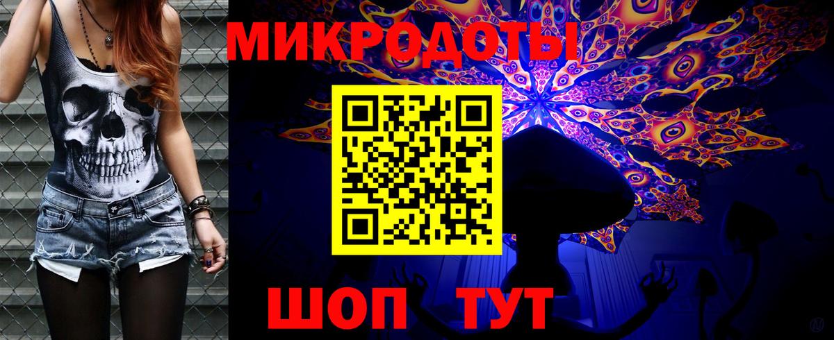 Псилоцибиновые грибы Psilocybe Камень-на-Оби
